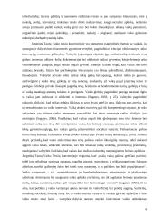 Tarpinstitucinio bendradarbiavimo aspektai vaiko globos nustatymo procese 6 puslapis