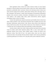 Užsienio valiutos kurso rizikos matavimo metodai 2 puslapis