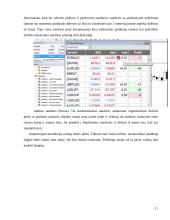 Užsienio valiutos kurso rizikos matavimo metodai 11 puslapis