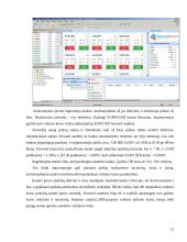 Užsienio valiutos kurso rizikos matavimo metodai 12 puslapis