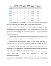 Užsienio valiutos kurso rizikos matavimo metodai 14 puslapis