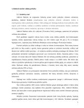 Užsienio valiutos kurso rizikos matavimo metodai 3 puslapis