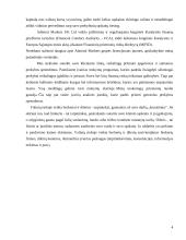 Užsienio valiutos kurso rizikos matavimo metodai 4 puslapis