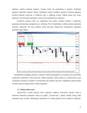 Užsienio valiutos kurso rizikos matavimo metodai 6 puslapis