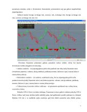 Užsienio valiutos kurso rizikos matavimo metodai 7 puslapis