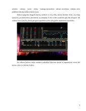 Užsienio valiutos kurso rizikos matavimo metodai 9 puslapis