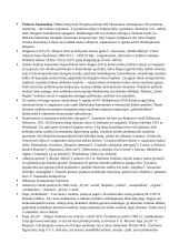 Lietuvių bažnytinė muzika XIXa pab. – XXa pr. 2 puslapis