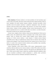 Antstolių atsakomybė 2 puslapis