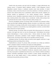 Antstolių atsakomybė 11 puslapis