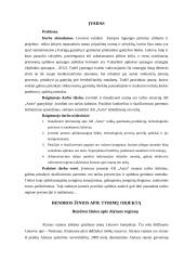 Aplinkosaugos vertinimas UAB Astra 2 puslapis