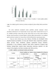 Aplinkosaugos vertinimas UAB Astra 17 puslapis