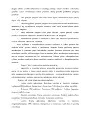 Aplinkosaugos vertinimas UAB Astra 6 puslapis