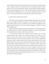 "Apranga" įmonės kapitalo kainos nustatymas 12 puslapis