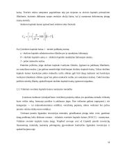 "Apranga" įmonės kapitalo kainos nustatymas 16 puslapis