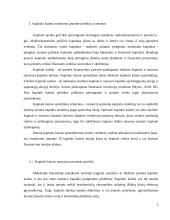 "Apranga" įmonės kapitalo kainos nustatymas 3 puslapis