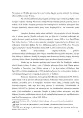 "Arnolfinių portretas" meno kūrinio analizė 6 puslapis