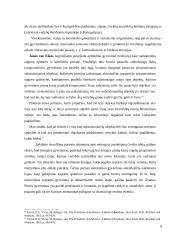 "Arnolfinių portretas" meno kūrinio analizė 8 puslapis