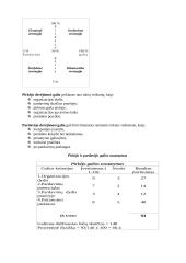 Kainų diferencijavimas 8 puslapis