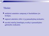 Atmintis ir jos lavinimo metodai 2 puslapis