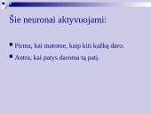 Atmintis ir jos lavinimo metodai 11 puslapis