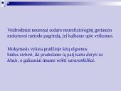 Atmintis ir jos lavinimo metodai 12 puslapis