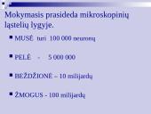 Atmintis ir jos lavinimo metodai 16 puslapis