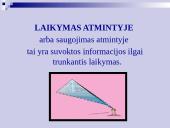 Atmintis ir jos lavinimo metodai 20 puslapis