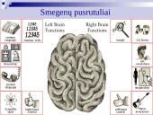 Atmintis ir jos lavinimo metodai 6 puslapis