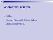 Atmintis ir jos lavinimo metodai 8 puslapis