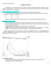 Atminties konspektas 12 puslapis