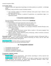 Atminties konspektas 13 puslapis