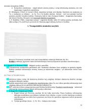 Atminties konspektas 14 puslapis