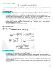Atminties konspektas 16 puslapis