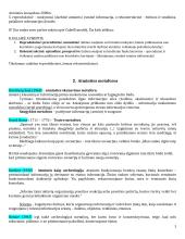 Atminties konspektas 3 puslapis