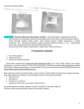 Atminties konspektas 6 puslapis