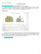 Atminties konspektas 7 puslapis