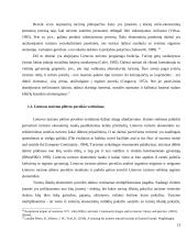 Atvykstamojo turizmo skatinimas ir pagrindinės tendencijos 13 puslapis