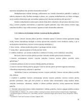 Atvykstamojo turizmo skatinimas ir pagrindinės tendencijos 16 puslapis