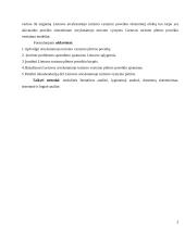 Atvykstamojo turizmo skatinimas ir pagrindinės tendencijos 3 puslapis