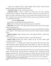 Atvykstamojo turizmo skatinimas ir pagrindinės tendencijos 9 puslapis