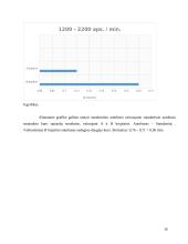 Autobusų degalų ir eksploatavimo išlaidos 16 puslapis