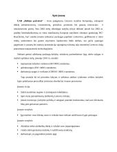 Automatizuotos statybos projektavimas 3 puslapis