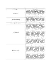 Automatizuotos statybos projektavimas 7 puslapis