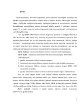 Autonominio šildymo valdymas nuotoliniu būdu 2 puslapis