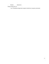 Autonominio šildymo valdymas nuotoliniu būdu 11 puslapis