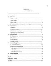 Autorinė dailininko knyga ir jos dizainas 2 puslapis