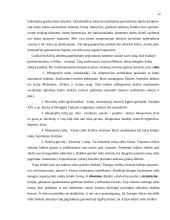 Autorinė dailininko knyga ir jos dizainas 15 puslapis