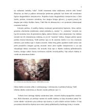 Autorinė dailininko knyga ir jos dizainas 5 puslapis