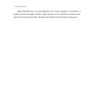 Autorinė dailininko knyga ir jos dizainas 10 puslapis