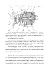 “DAF” autovežio stabdžių efektyvumo tyrimas 13 puslapis